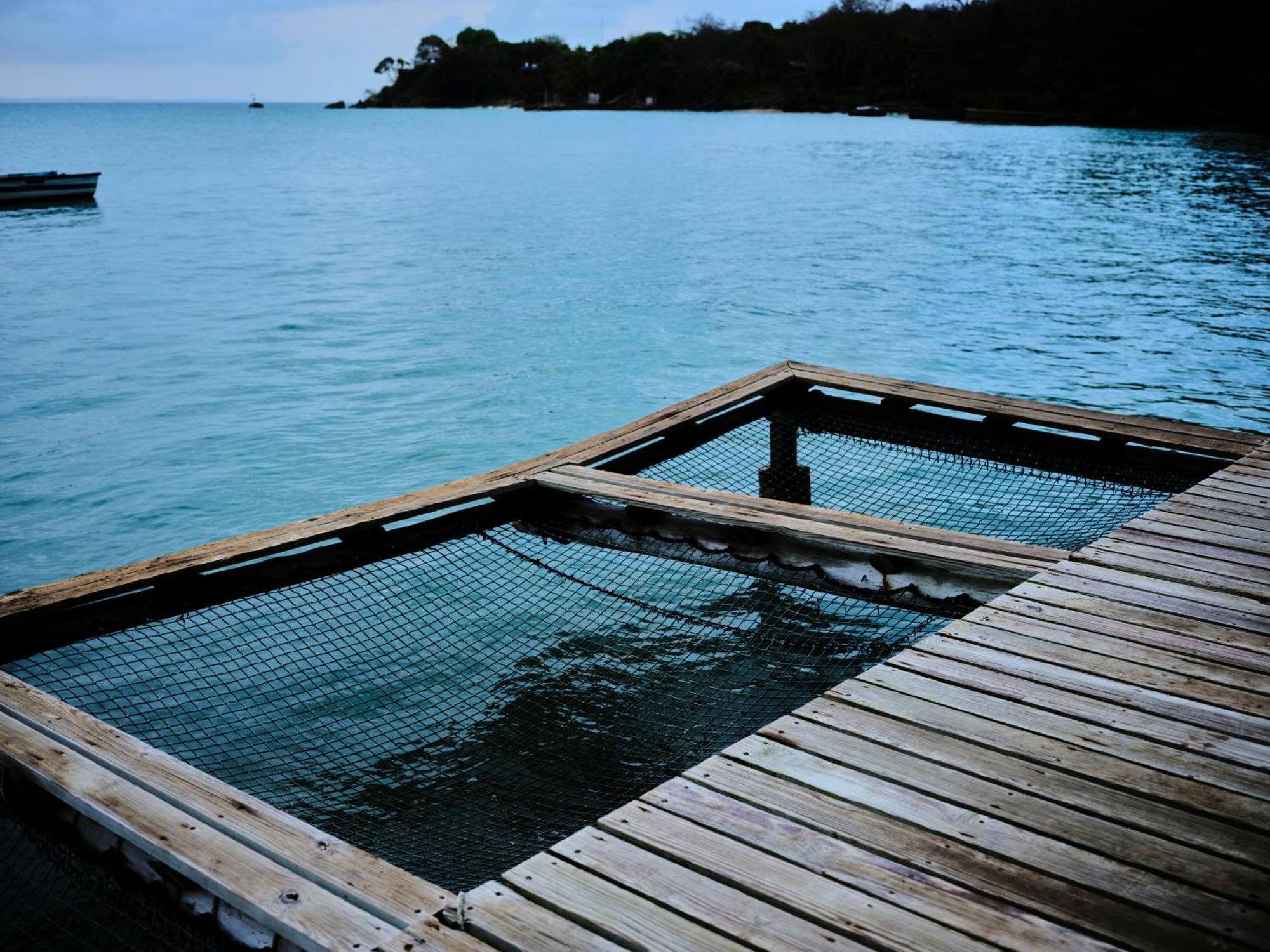 Isla Fuerte Eco House Villa Puerto Limon Luaran gambar